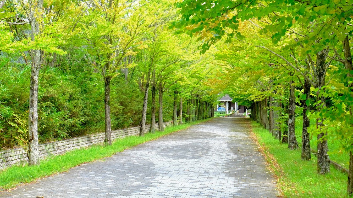 兵庫県西脇市の税理士です。兵庫県多可郡、兵庫県加東市、兵庫県加西市、兵庫県丹波市、兵庫県小野市の方、申告や相続でお困りの方、お気軽に相談ください。